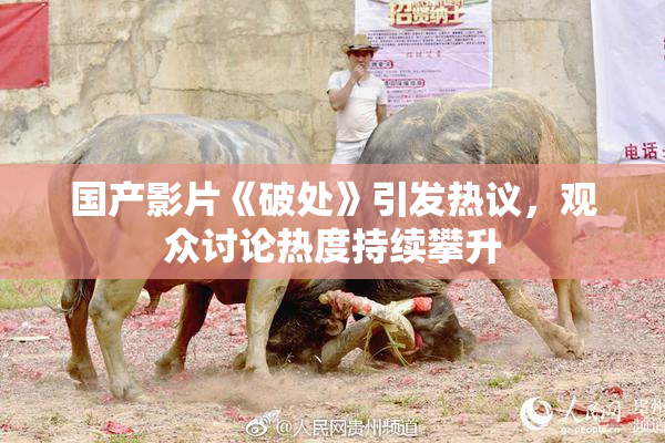 国产影片《破处》引发热议，观众讨论热度持续攀升
