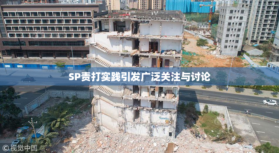 SP责打实践引发广泛关注与讨论