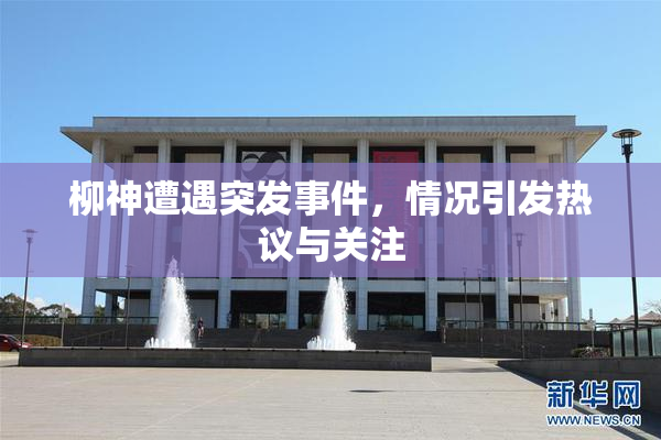 柳神遭遇突发事件，情况引发热议与关注