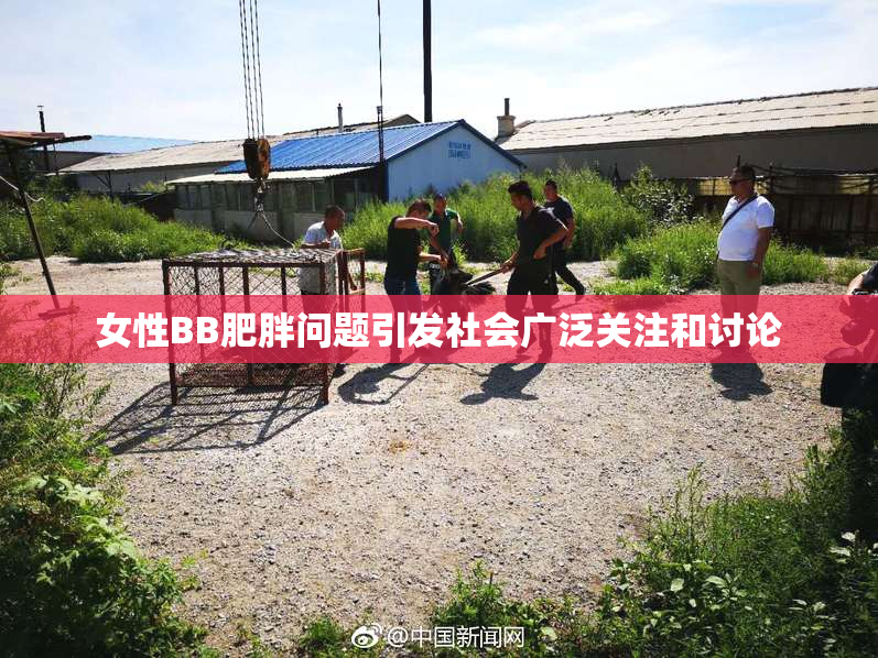 女性BB肥胖问题引发社会广泛关注和讨论