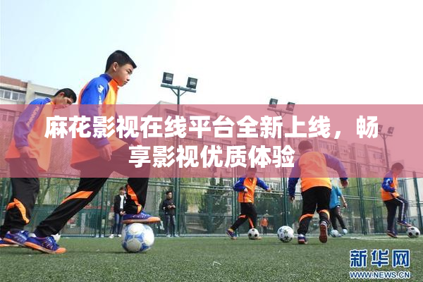 麻花影视在线平台全新上线，畅享影视优质体验
