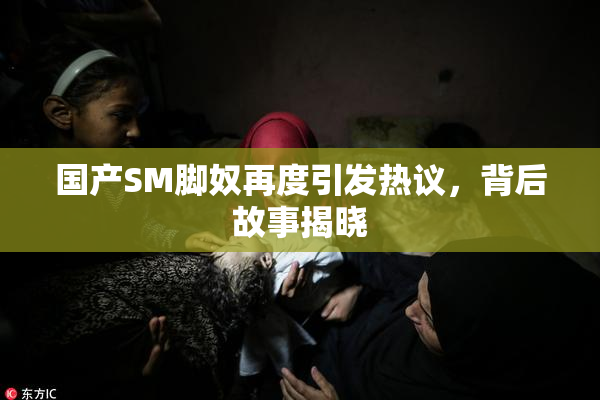 国产SM脚奴再度引发热议，背后故事揭晓