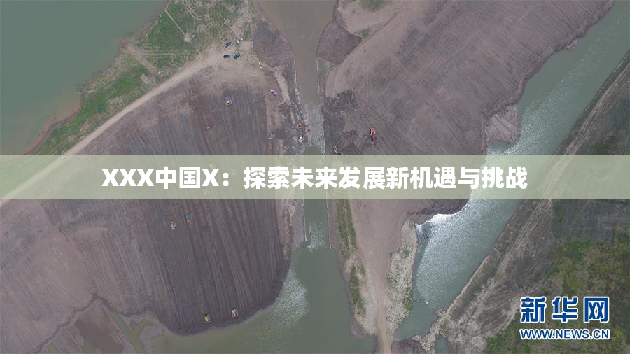 XXX中国X：探索未来发展新机遇与挑战