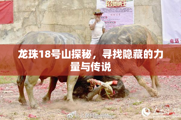 龙珠18号山探秘，寻找隐藏的力量与传说