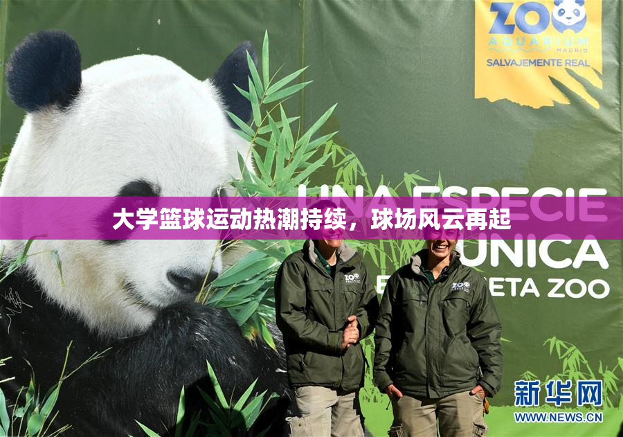 大学篮球运动热潮持续，球场风云再起
