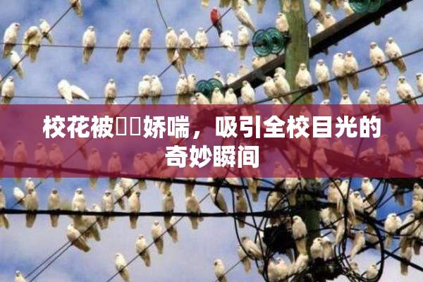 校花被❌‌娇喘，吸引全校目光的奇妙瞬间