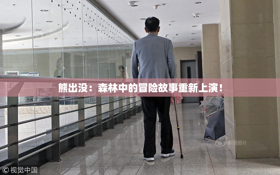 熊出没：森林中的冒险故事重新上演！