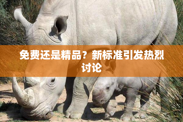 免费还是精品？新标准引发热烈讨论