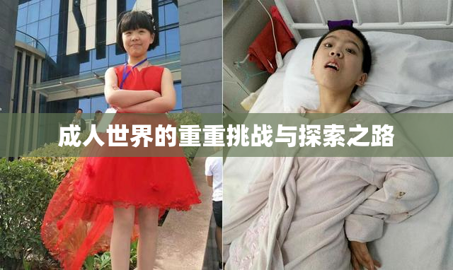 成人世界的重重挑战与探索之路