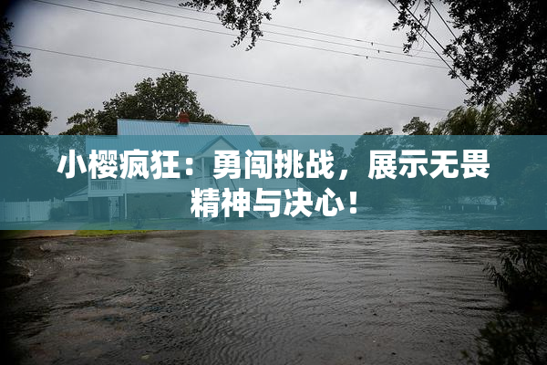 小樱疯狂：勇闯挑战，展示无畏精神与决心！