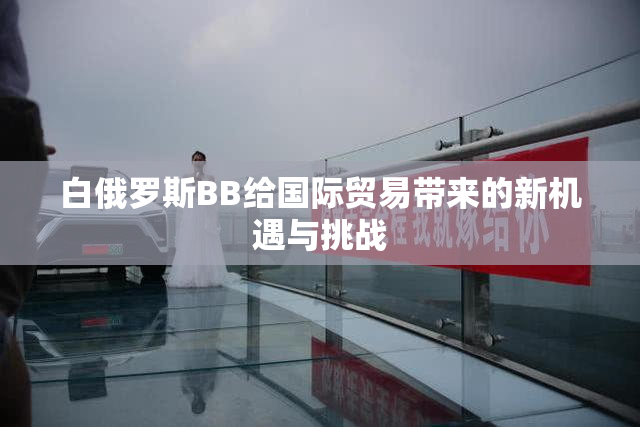 白俄罗斯BB给国际贸易带来的新机遇与挑战