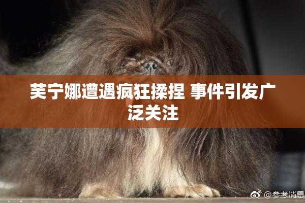 芙宁娜遭遇疯狂揉捏 事件引发广泛关注