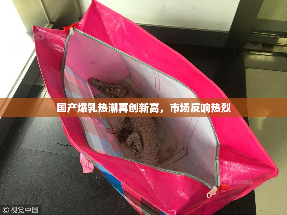 国产爆乳热潮再创新高，市场反响热烈