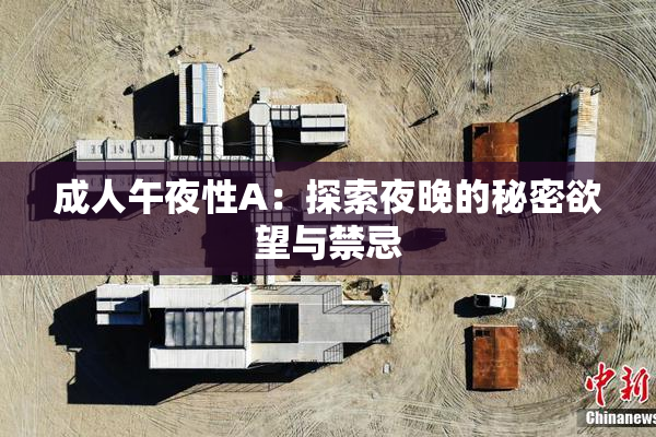 成人午夜性A：探索夜晚的秘密欲望与禁忌