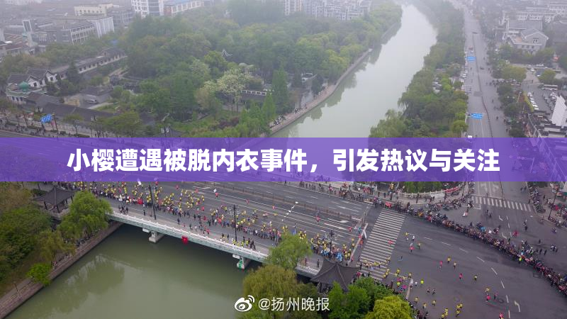 小樱遭遇被脱内衣事件，引发热议与关注