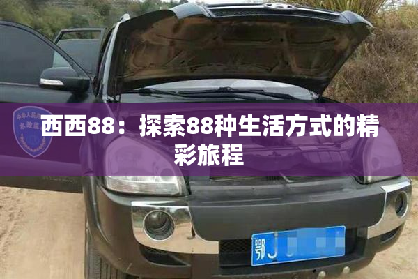 西西88：探索88种生活方式的精彩旅程