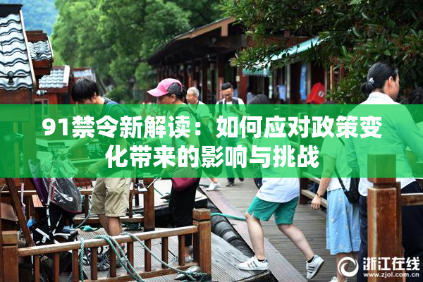 91禁令新解读：如何应对政策变化带来的影响与挑战