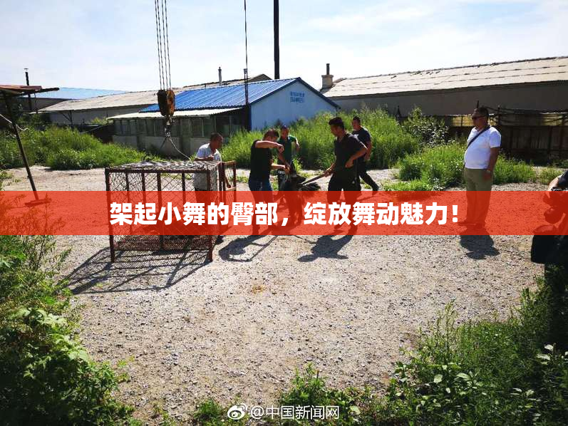 架起小舞的臀部，绽放舞动魅力！