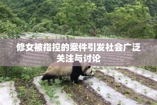 修女被指控的案件引发社会广泛关注与讨论