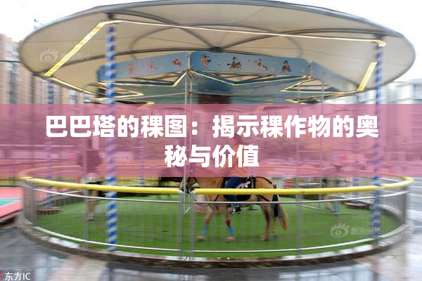 巴巴塔的稞图：揭示稞作物的奥秘与价值