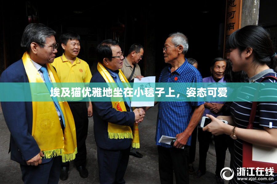 埃及猫优雅地坐在小毯子上，姿态可爱