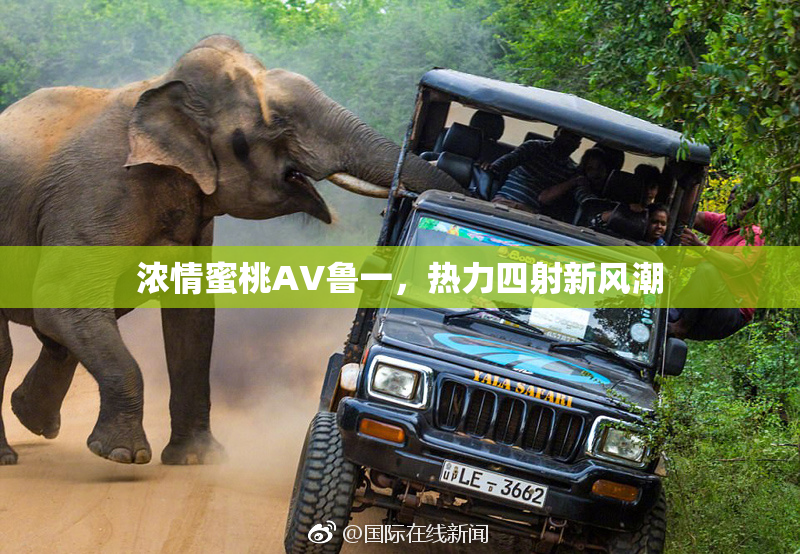 浓情蜜桃AV鲁一，热力四射新风潮