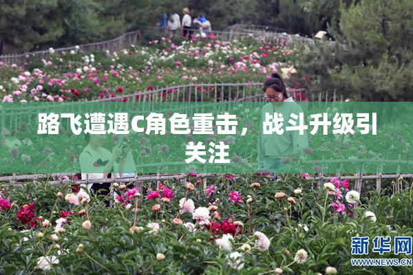 路飞遭遇C角色重击，战斗升级引关注