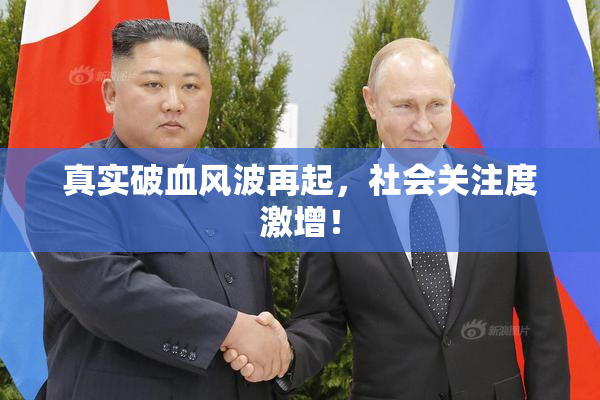 真实破血风波再起，社会关注度激增！