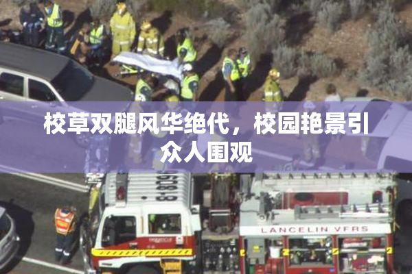 校草双腿风华绝代，校园艳景引众人围观