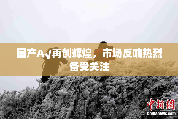 国产A√再创辉煌，市场反响热烈备受关注