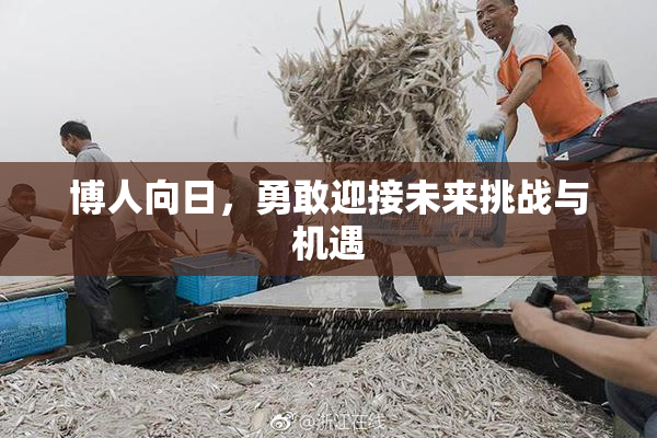 博人向日，勇敢迎接未来挑战与机遇