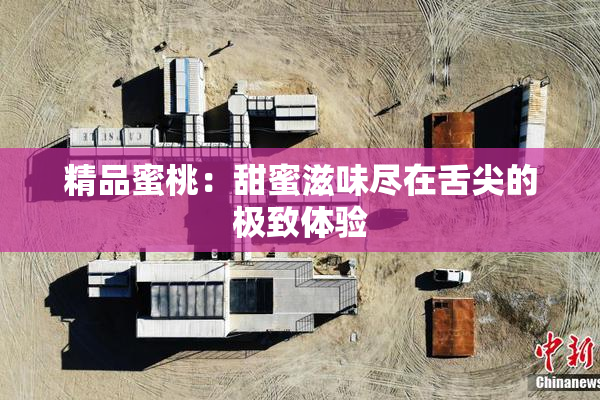 精品蜜桃：甜蜜滋味尽在舌尖的极致体验