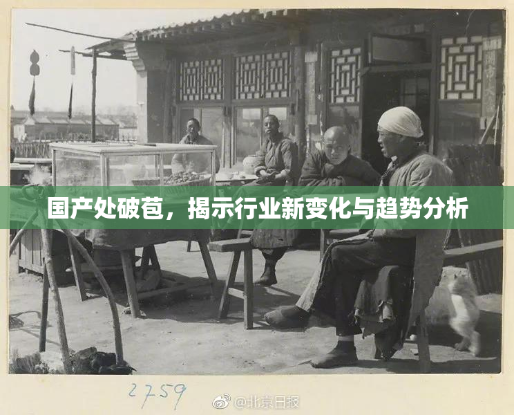 国产处破苞，揭示行业新变化与趋势分析
