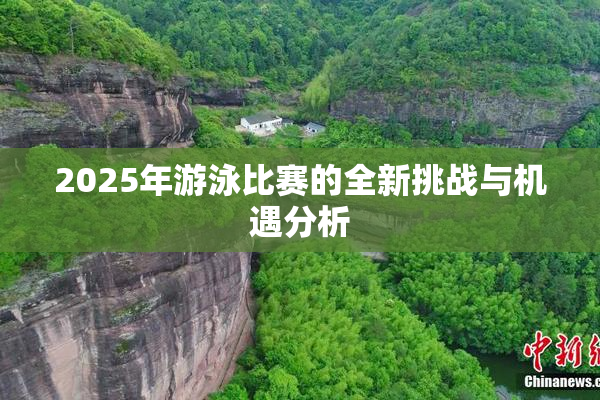 2025年游泳比赛的全新挑战与机遇分析