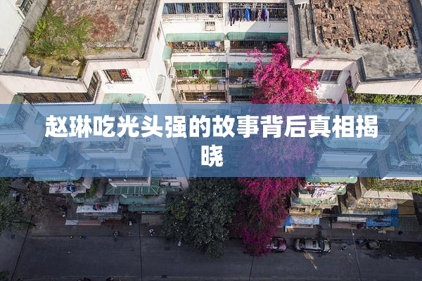 赵琳吃光头强的故事背后真相揭晓