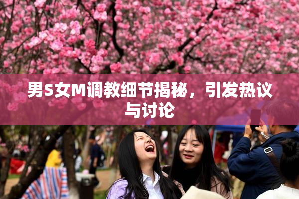 男S女M调教细节揭秘，引发热议与讨论