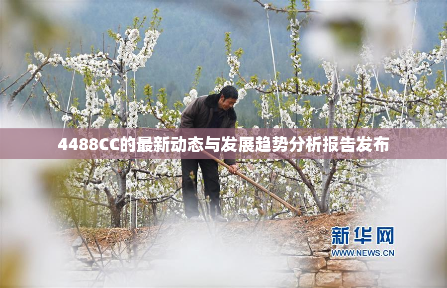 4488CC的最新动态与发展趋势分析报告发布