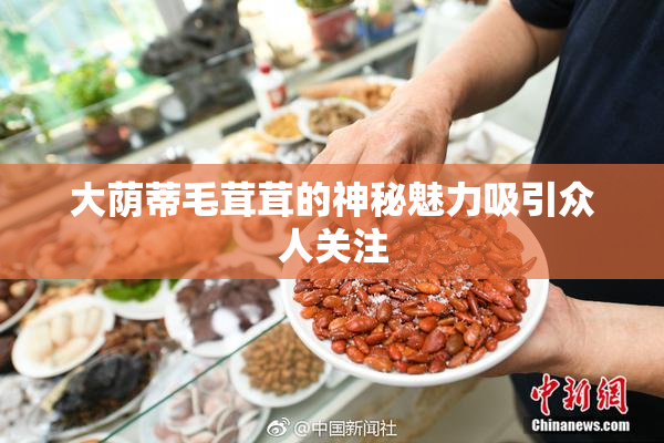 大荫蒂毛茸茸的神秘魅力吸引众人关注