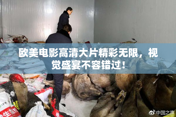 欧美电影高清大片精彩无限，视觉盛宴不容错过！