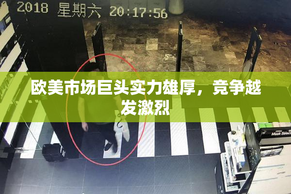 欧美市场巨头实力雄厚，竞争越发激烈