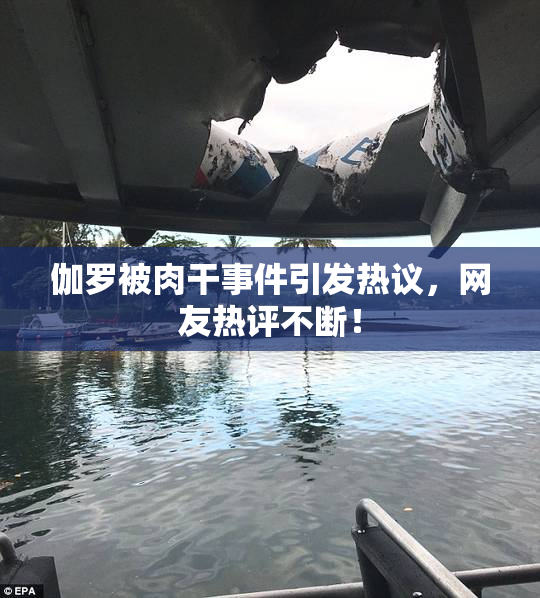 伽罗被肉干事件引发热议，网友热评不断！