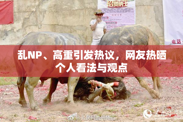 乱NP、高重引发热议，网友热晒个人看法与观点