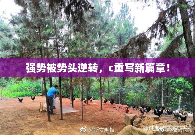 强势被势头逆转，c重写新篇章！