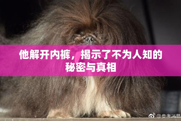 他解开内裤，揭示了不为人知的秘密与真相
