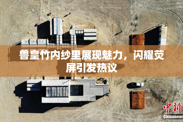 兽皇竹内纱里展现魅力，闪耀荧屏引发热议