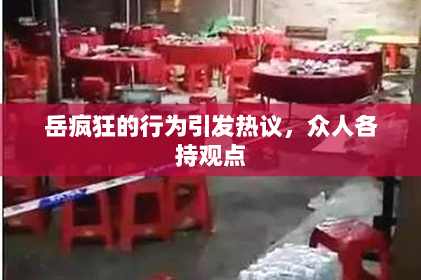 岳疯狂的行为引发热议，众人各持观点
