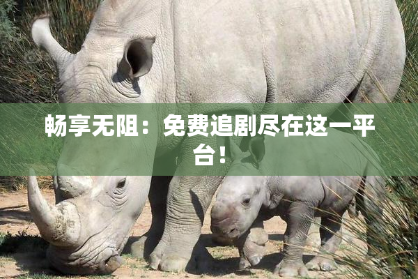 畅享无阻：免费追剧尽在这一平台！