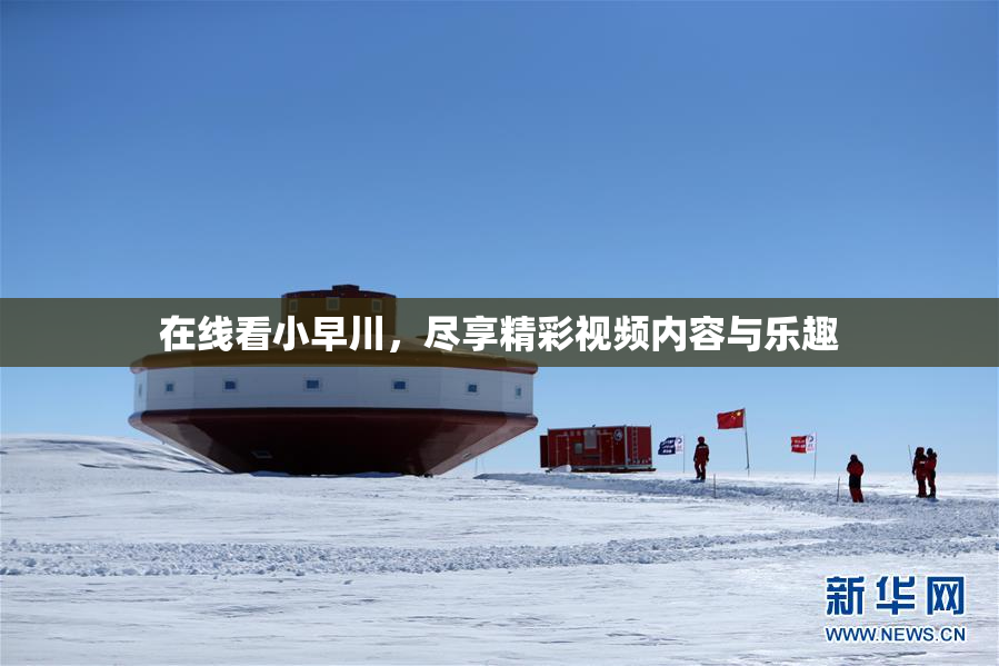 在线看小早川，尽享精彩视频内容与乐趣