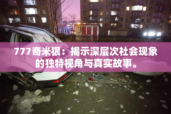 777奇米狠：揭示深层次社会现象的独特视角与真实故事。