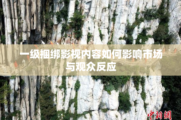 一级捆绑影视内容如何影响市场与观众反应